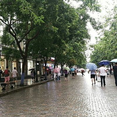 雨天的哈爾濱老街